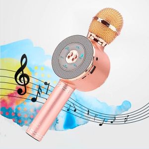Microphone-WS-668-haut-parleur-bluetooth-rose-HANOUTDZ
